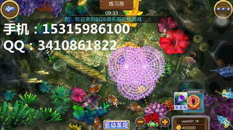 細數(shù)捕魚游戲軟件開發(fā)的游戲技巧 趣味性十足與經(jīng)典套路設(shè)計